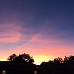 Meet your Posher, Riley